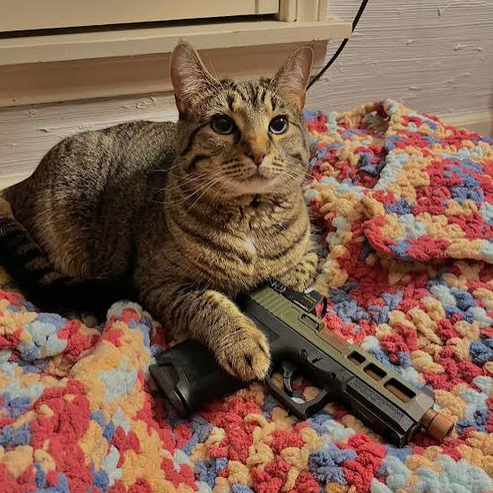 dps910@freedombits.org