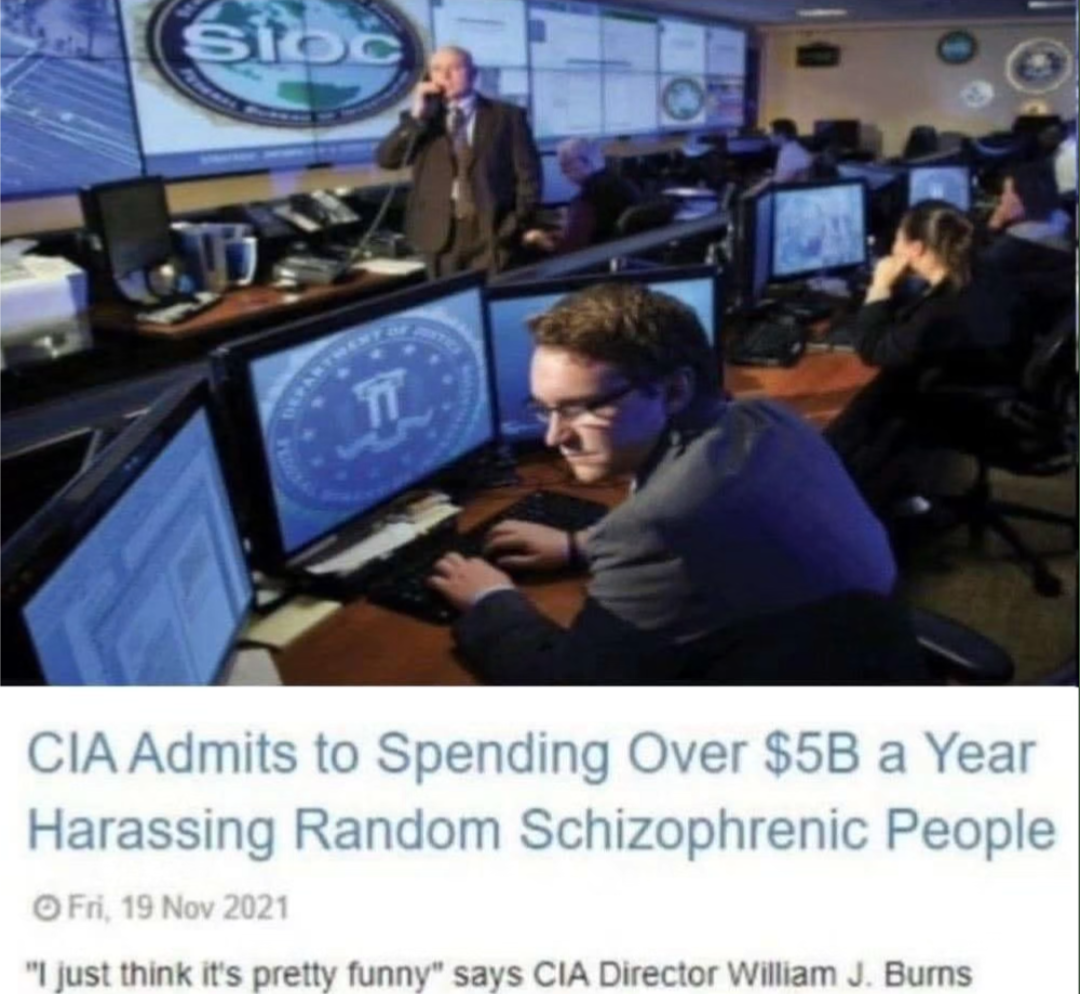 CIA Admits to Spending over $5B a Year harassing Random Schizophrenic People. "I just think it's pretty funny" says CIA director William J. Burns