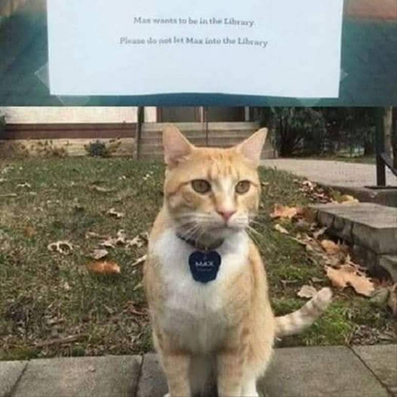 david@freedombits.org